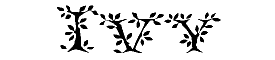 Ivy Display Caps